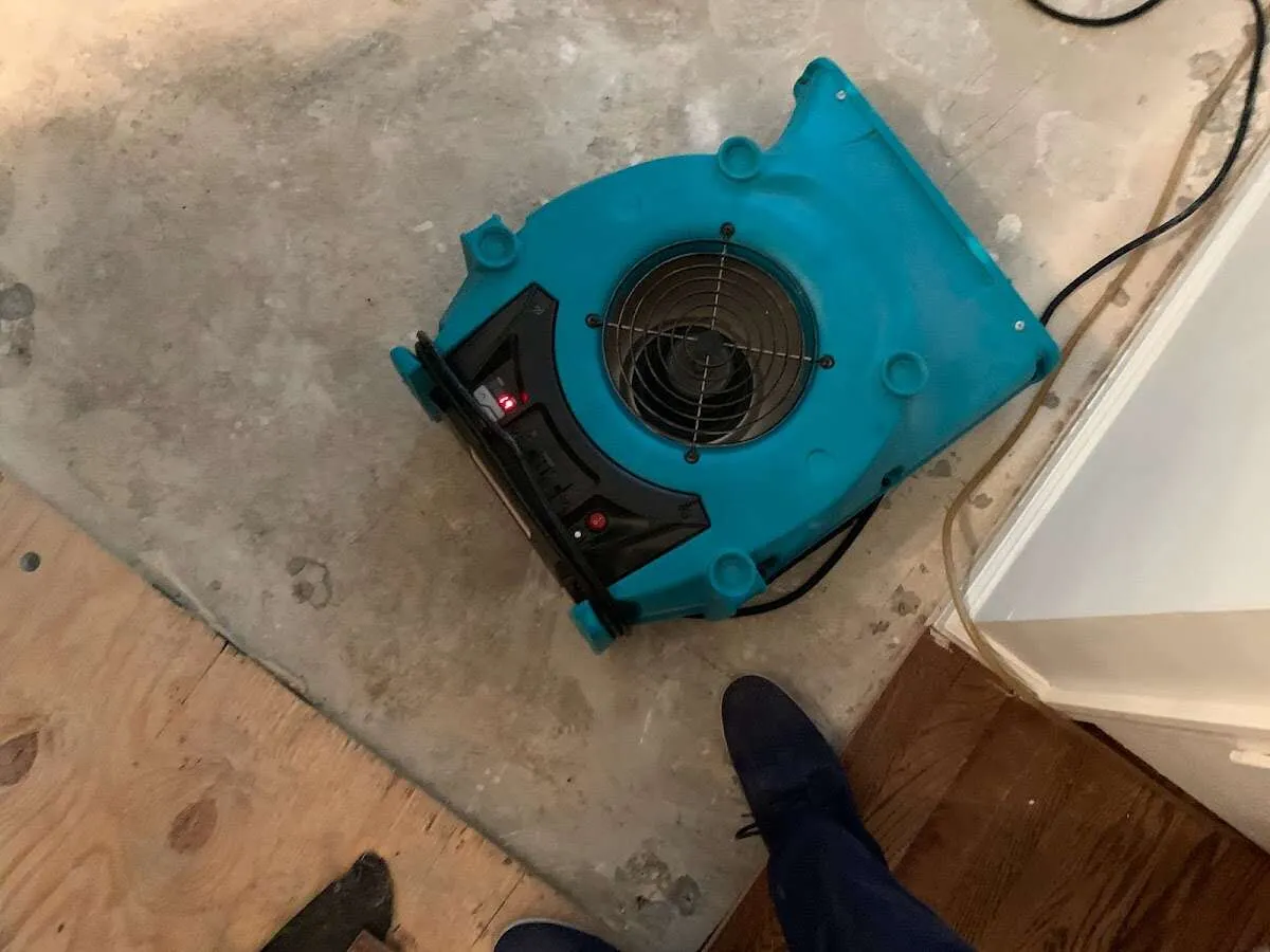 Air mover drying subfloor during Commercial Water Damage Restoration in Celebration