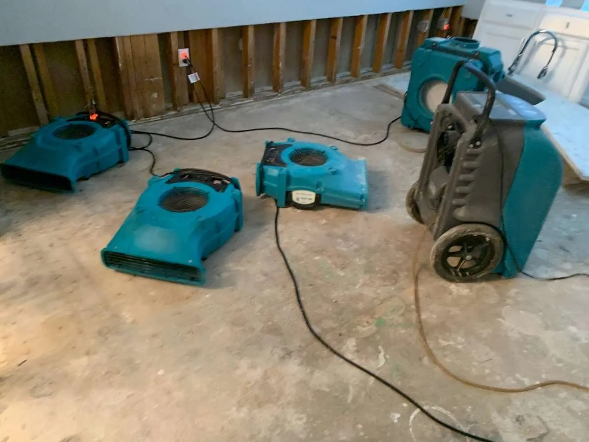 Water Damage Restoration services in Celebration, FL